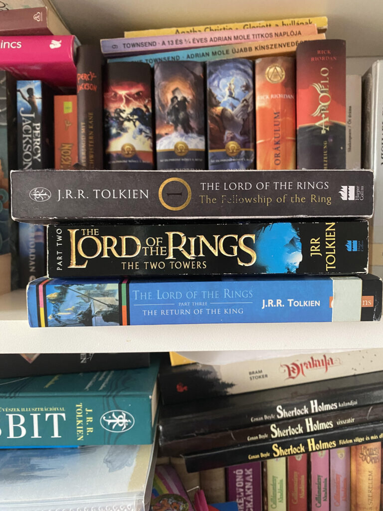 lotr bookshelf